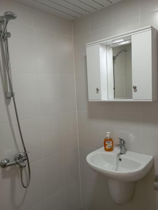 Gradina Apartment Montana Dış mekan fotoğraf